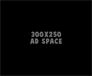 300x250 Ad Space